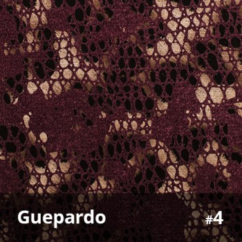 Guepardo 4